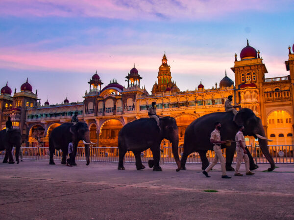 Mysore Dasara – The Colourful Festivities of Mysore
