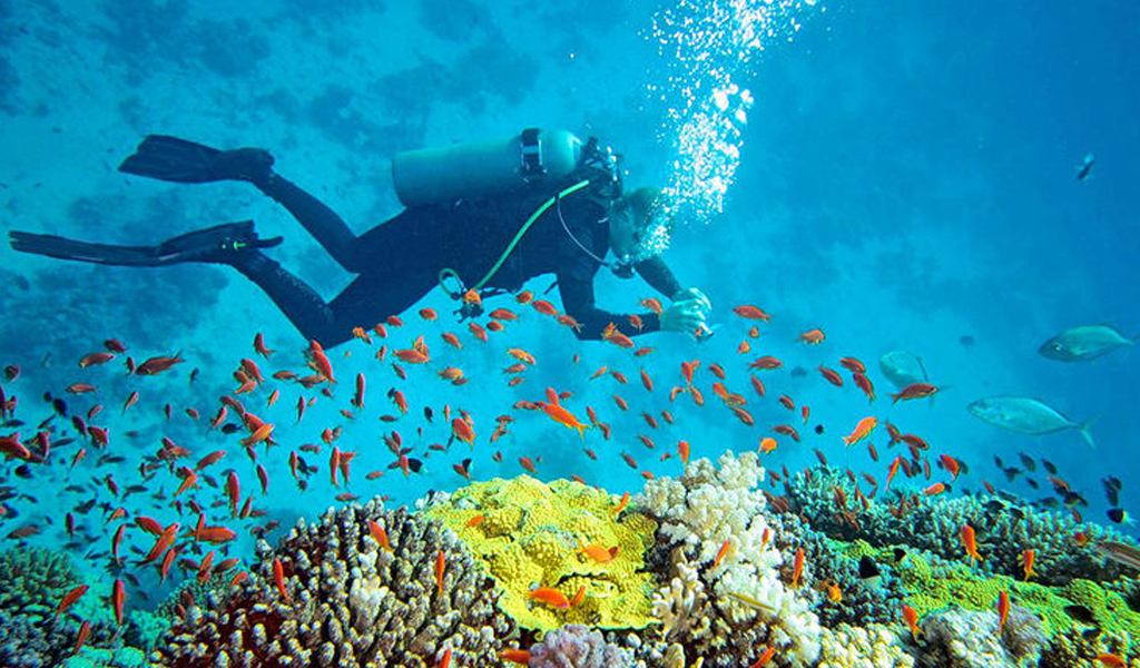 Read more about the article Complete Guide For A Perfect Andaman Trip