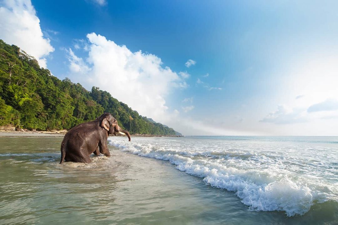 Read more about the article Do’s & Don’ts In Andaman & Nicobar