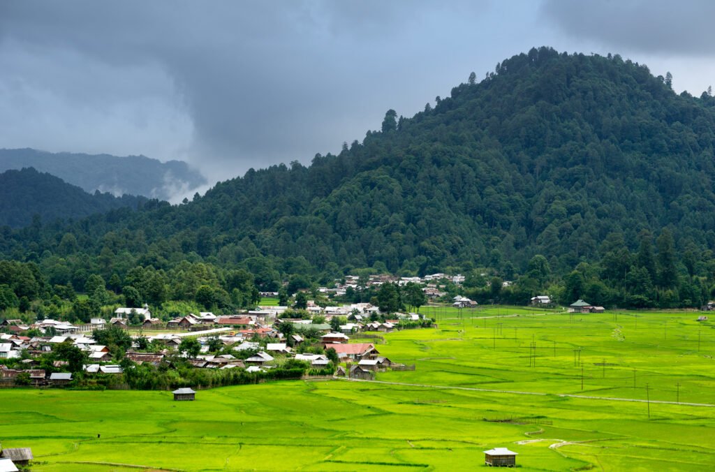 Ziro Village