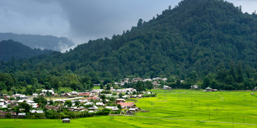 Ziro Village