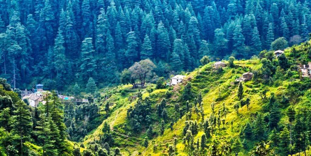Ranikhet