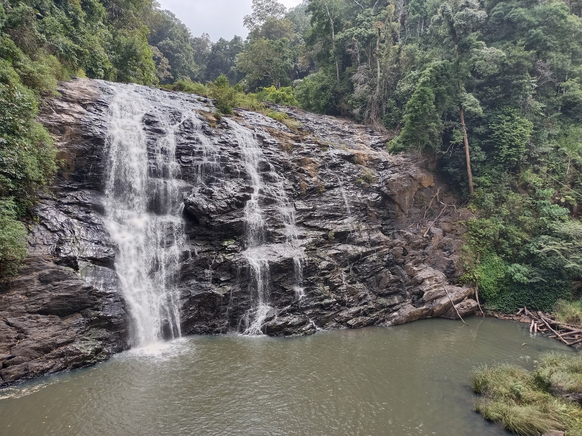 Abbey Falls in Coorg tumbling through green forest