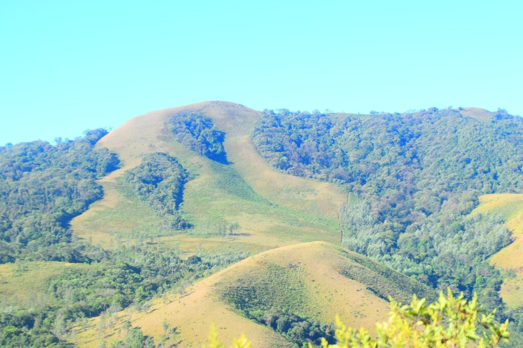 Green grassy slopes of Mullayanagiri, Karnataka's highest peak, in Chikmagalur district
