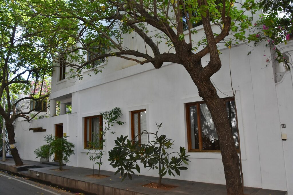 White colonial house shaded by a tree on a quiet street in Pondicherry's White Town