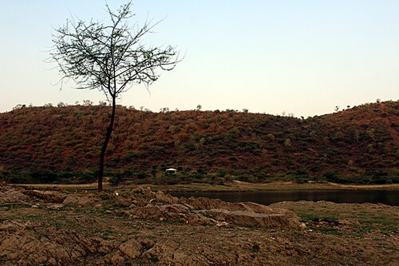 Dry Aravalli hills of Sajjangarh Wildlife Sanctuary seen from Badi Lake at dusk