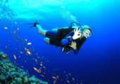 Andaman Diglipur Tour Package with Baratang