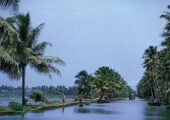 Kerala Tour Packages for family