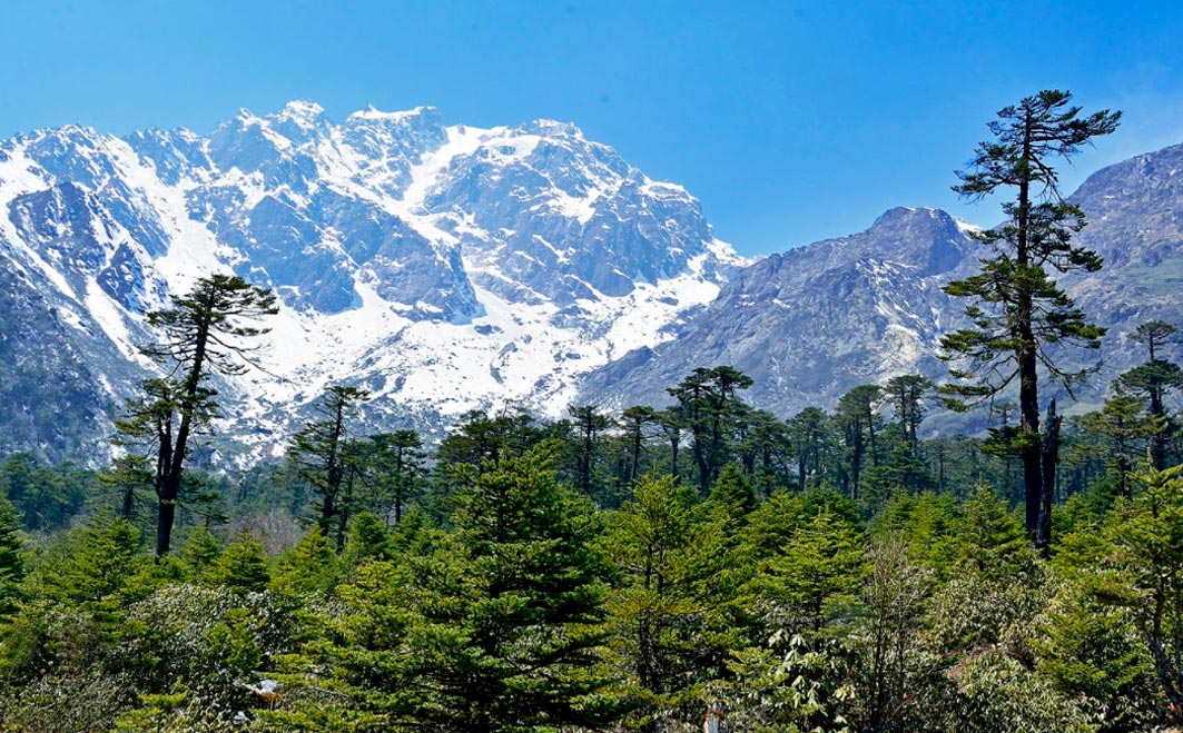 7-Day Sikkim Gangtok Package Tour in Summer by NatureWings