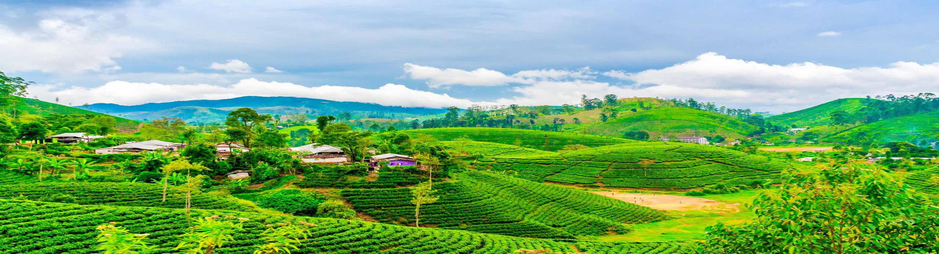Darjeeling & Kalimpong Tour Package – 4 Nights / 5 Days | Hill Zone To