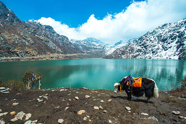 Best North Sikkim Tour Package