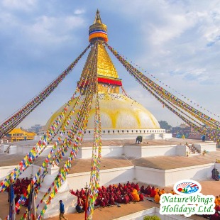 Nepal Tour Packages from India to Explore Kathmandu, Pokhara and Chitw