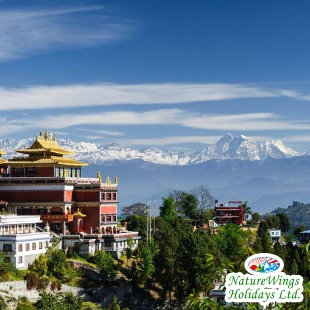 Nepal Tour Packages from India to Explore Kathmandu, Pokhara and Chitw