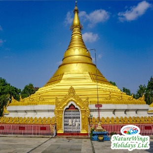 Nepal Tour Packages from India to Explore Kathmandu, Pokhara and Chitw