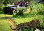 Nepal Tour Packages from India to Explore Kathmandu, Pokhara and Chitw