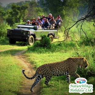 Nepal Tour Packages from India to Explore Kathmandu, Pokhara and Chitw