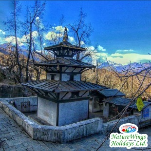 Nepal Tour Packages from India to Explore Kathmandu, Pokhara and Chitw