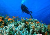 Andaman Tour Package from Kolkata with Comfortable Travel Arrangements