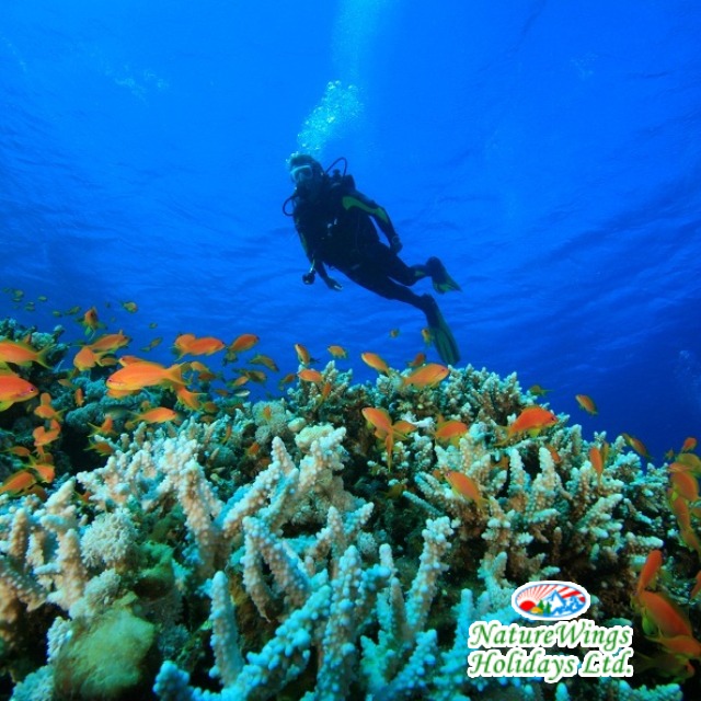 Andaman Tour Package from Kolkata with Comfortable Travel Arrangements