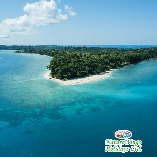 Andaman Tour Package from Kolkata with Comfortable Travel Arrangements