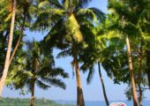 Andaman Tour Package from Kolkata with Comfortable Travel Arrangements