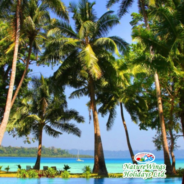 Andaman Tour Package from Kolkata with Comfortable Travel Arrangements