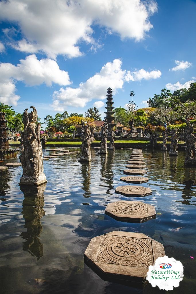 Bali Tour Packages from Kolkata to Explore the Island’s Beauty