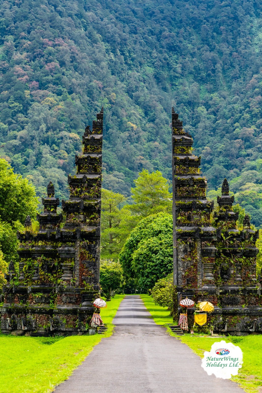 Bali Tour Packages from Kolkata to Explore the Island’s Beauty