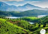 best-kerala-tour-packages