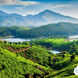 best-kerala-tour-packages