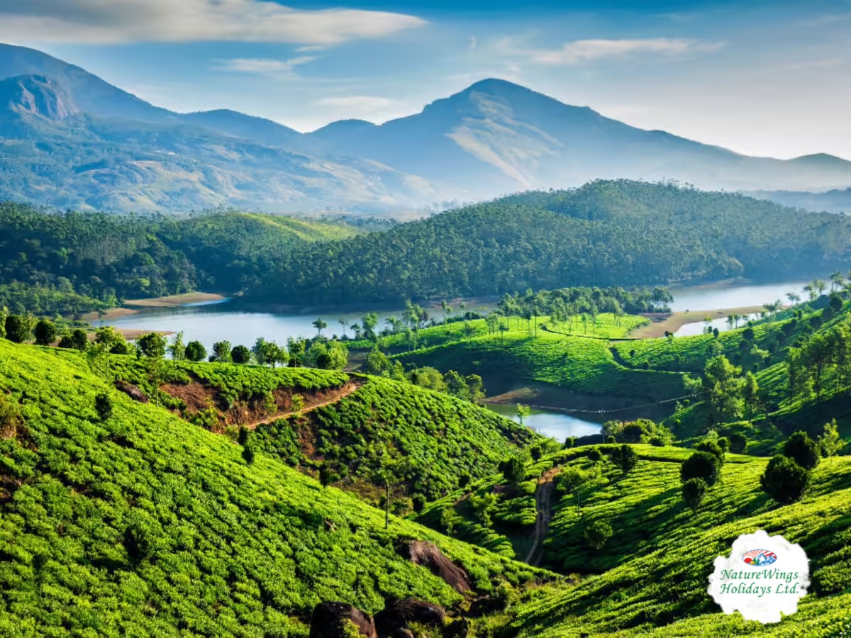 Kerala Package Tour with Comfortable Stay and Transfers