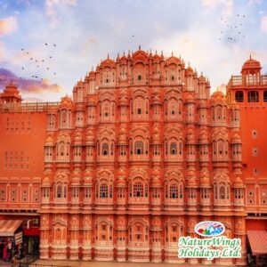 best-rajasthan-tour-packages-naturewings-holidays-limited