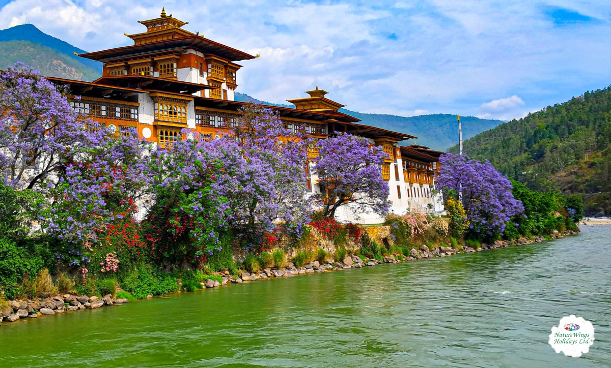 Bhutan Tour Packages from Delhi for a Peaceful Mountain Escape