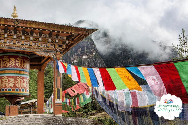 Bhutan Tour Packages from Delhi for a Peaceful Mountain Escape