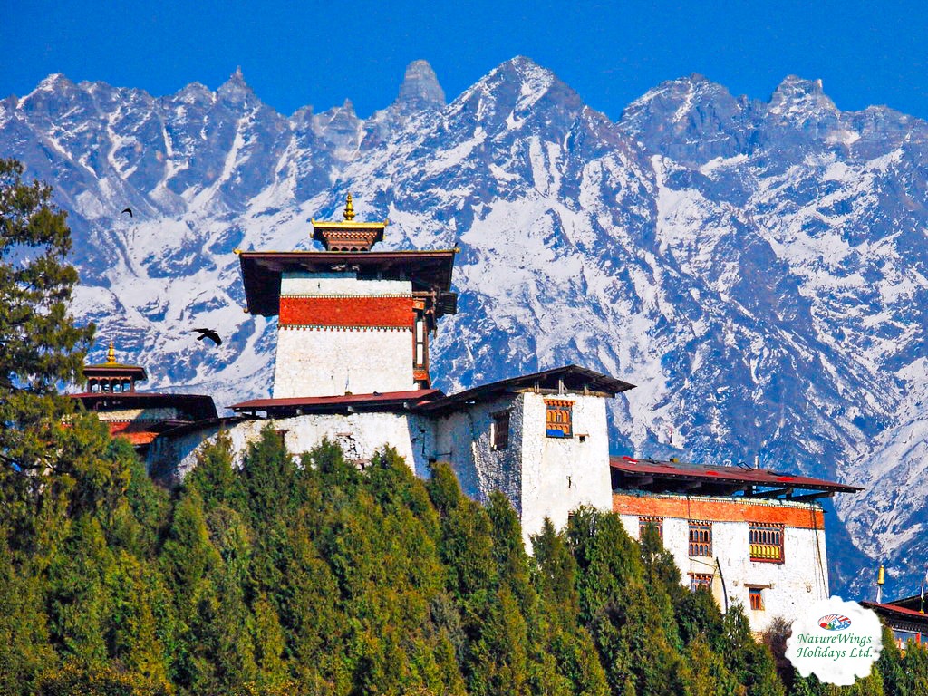 Bhutan Tour Packages from Delhi for a Peaceful Mountain Escape