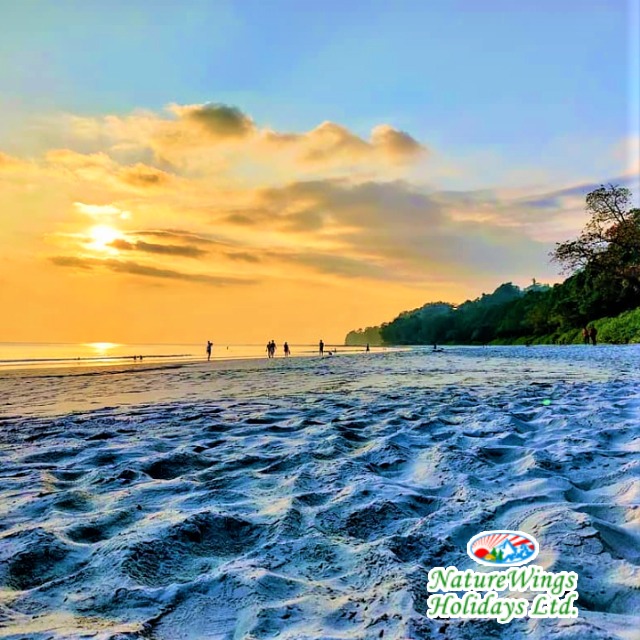 Andaman Tour Package from Kolkata with Comfortable Travel Arrangements