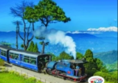 darjeling-gangtok-package-naturewings-holidays-limited