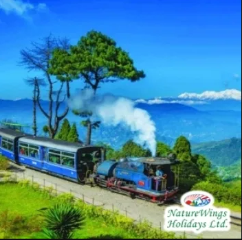 Darjeeling Gangtok Package Tour from NJP to Explore the Eastern Himala