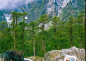 Darjeeling Gangtok Package Tour from NJP to Explore the Eastern Himala