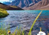 himachal-prasesh-package-tour