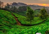 Kerala Package Tour with Comfortable Stay and Transfers