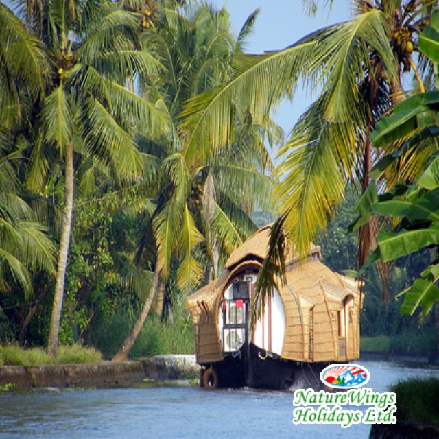 Kerala Package Tour with Comfortable Stay and Transfers