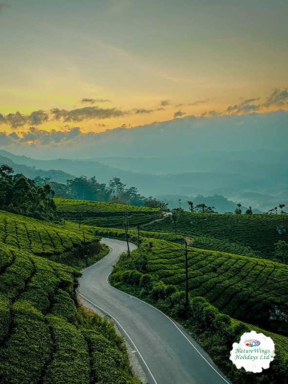 Kerala Package Tour with Customized Travel Itineraries