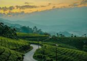 Kerala Package Tour with Comfortable Stay and Transfers