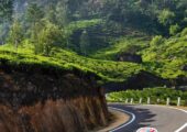 Kerala Package Tour with Customized Travel Itineraries