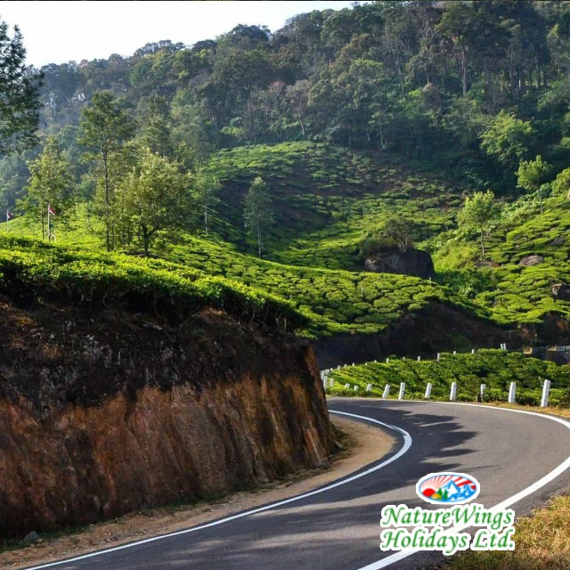 Kerala Package Tour with Customized Travel Itineraries