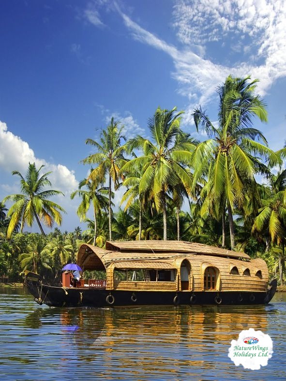 Kerala Package Tour with Comfortable Stay and Transfers