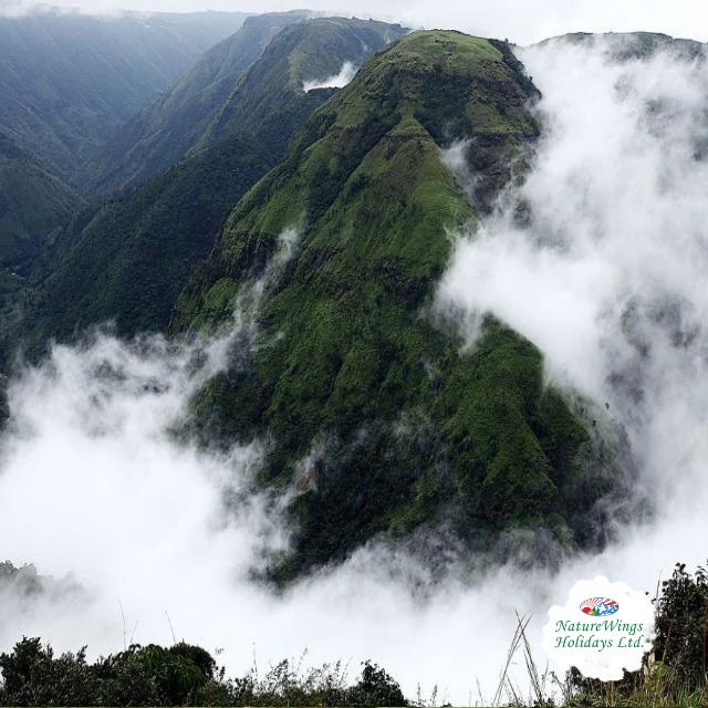 North East Package – Customized Tours from Guwahati