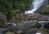 Kerala Package Tour with Comfortable Stay and Transfers