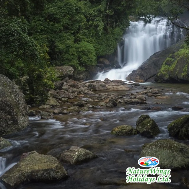 Kerala Package Tour with Comfortable Stay and Transfers
